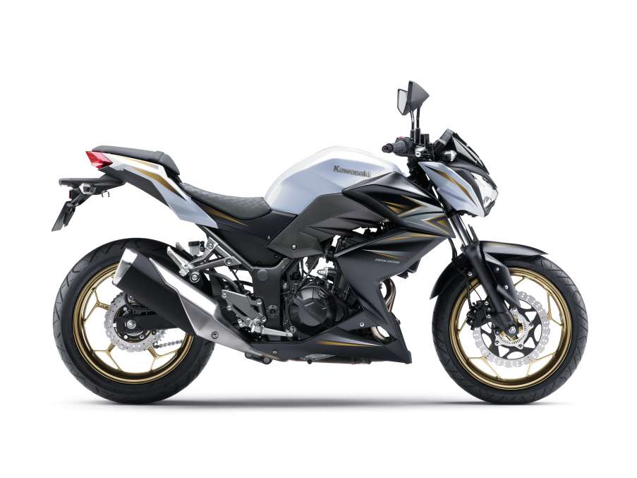 2016 Z300 ABS SE